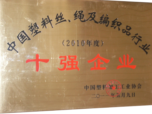 2010年度中國塑料絲、繩及編織品行業(yè)十強企業(yè)